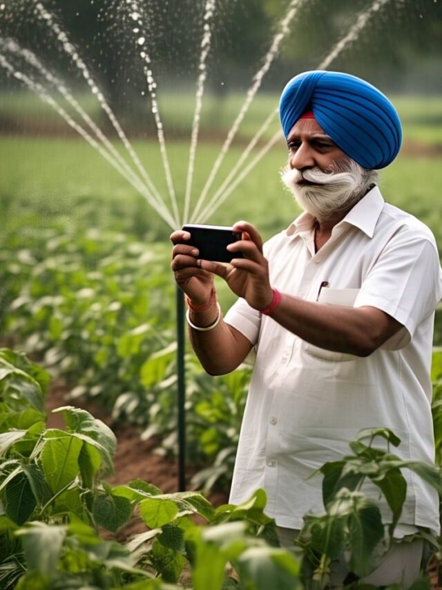 एक खेत में खड़ा भारतिय किसान मोबाइल में वेबसाइट देख रहा है (जिस पर KisanSuvidha.in websaite खुला हो), बैकग्राउंड में फसल पाणी दे रा है