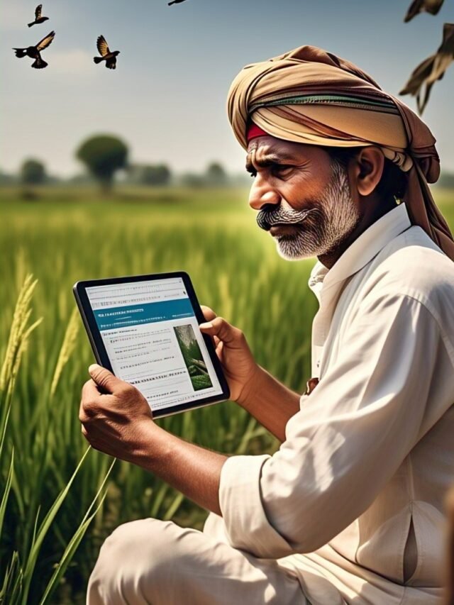 एक भारतीय किसान अपने खेत में मोबाइल से वेबसाइट खोलकर फसल बीमा करते हुए, पीछे धान का खेत।