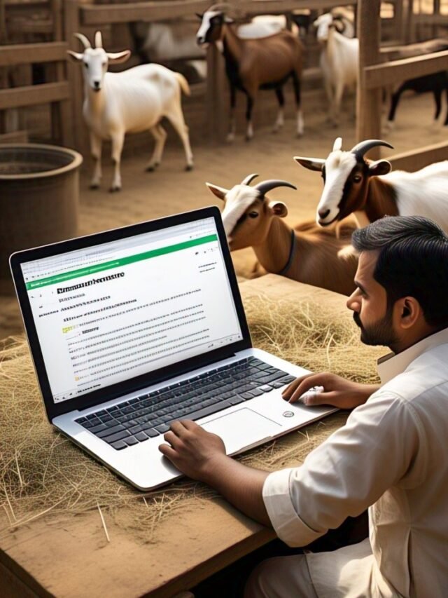 Goat Farming Business Loan Scheme 2025 – Get Loan up to ₹50 Lakhs Easily