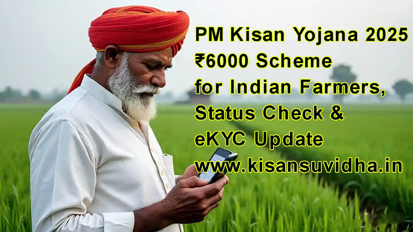 Farmer holding phone with PM Kisan payment SMS visible in field