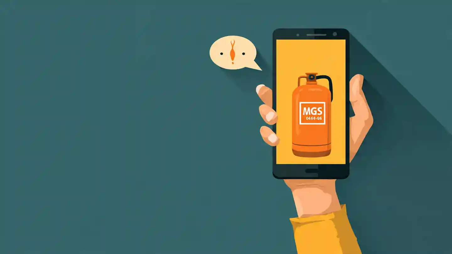 LPG subsidy problem and solution India